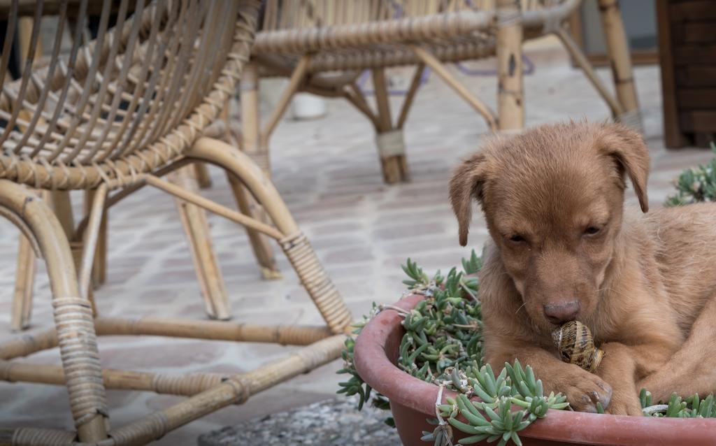 B&B Cantico Delle Creature Assisi Ngoại thất bức ảnh