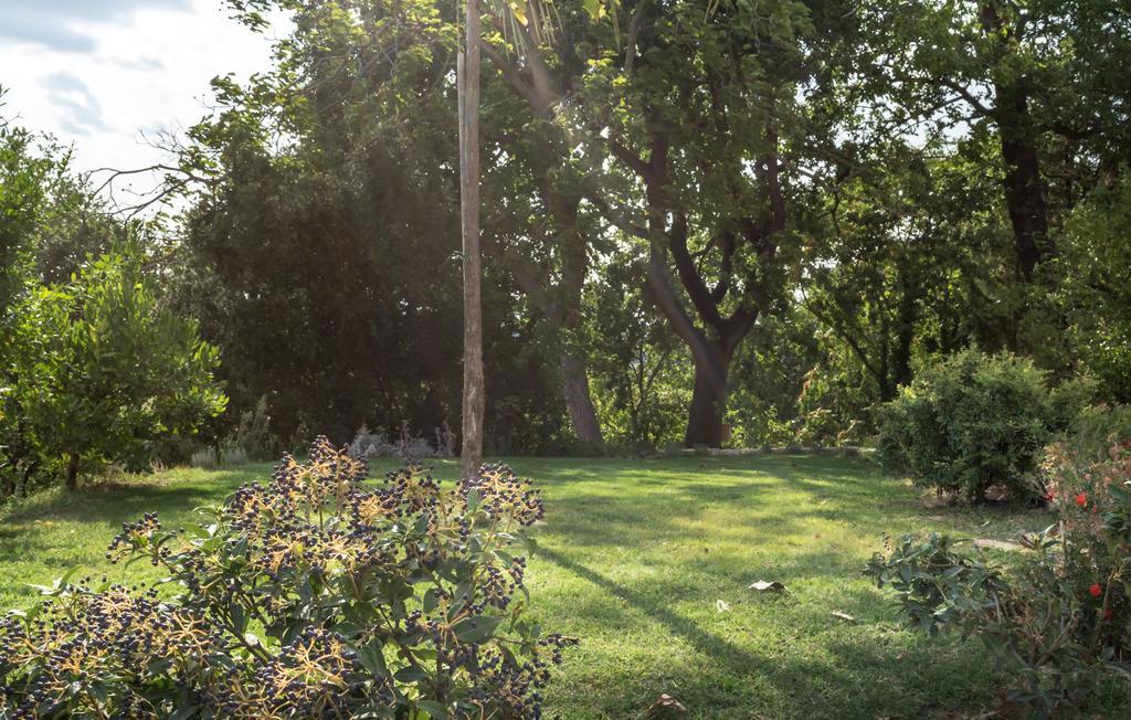 B&B Cantico Delle Creature Assisi Ngoại thất bức ảnh